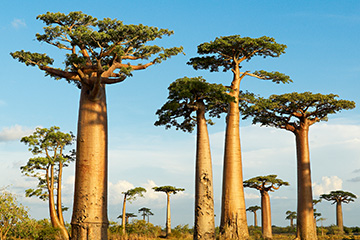 图利亚拉港口查询_tulear港口代码_马达加斯加图利亚拉港口代码